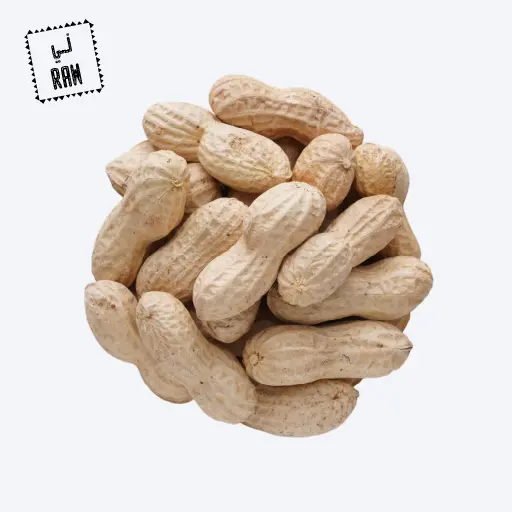 Raw Peanut With Shell